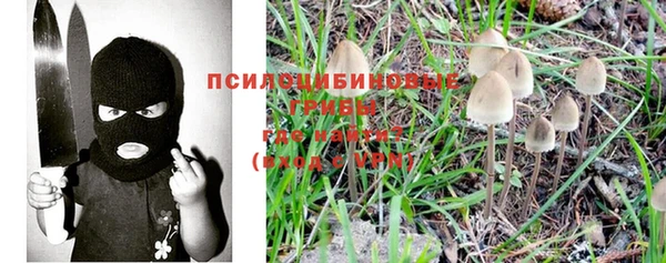 соль ск Липки