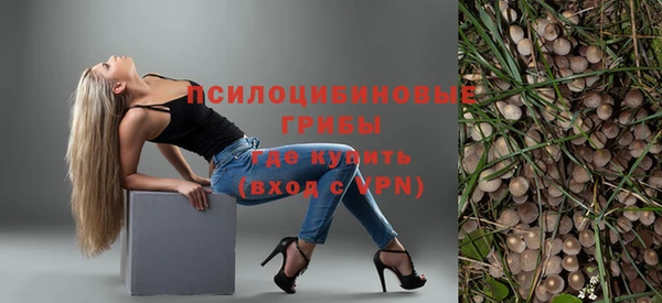 соль ск Липки