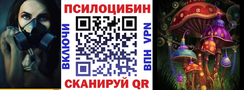 дарк нет официальный сайт  Тырныауз  Галлюциногенные грибы MAGIC MUSHROOMS 
